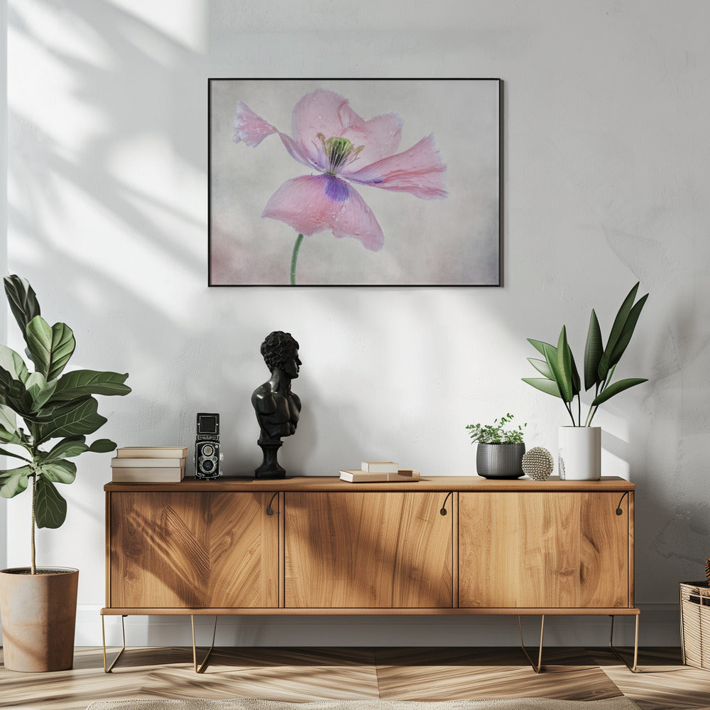 Pastel poppy | Poster