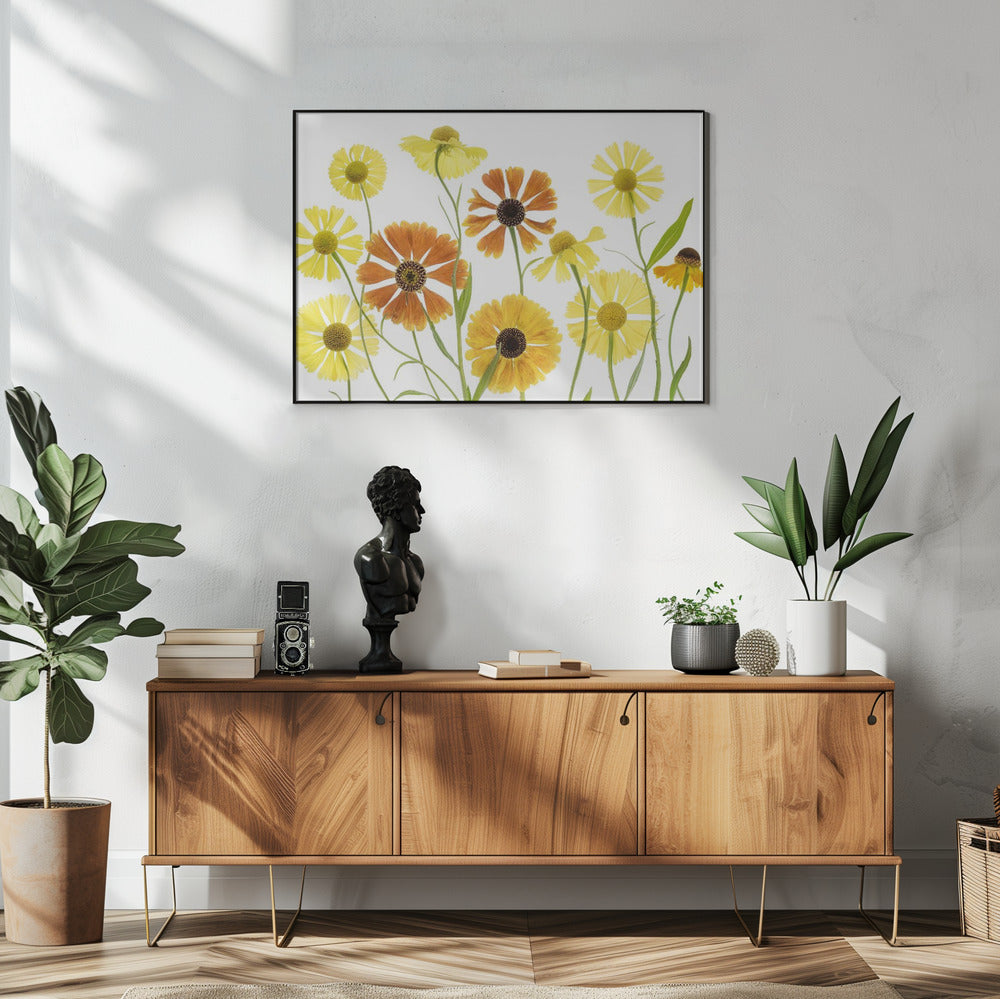 Helenium | Poster