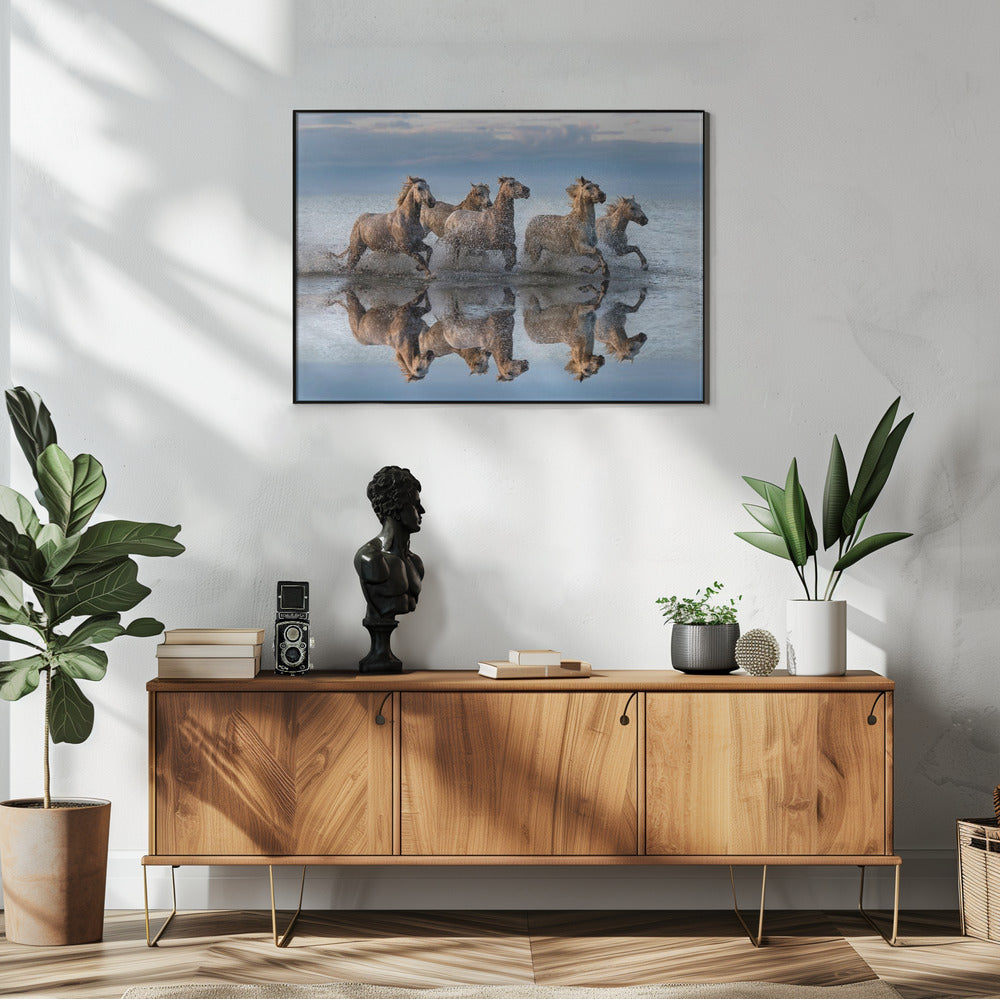 Horses and reflection | Poster