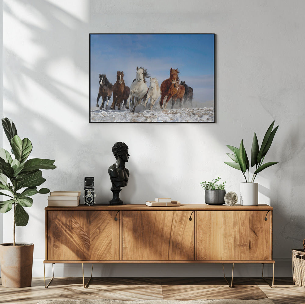Mongolia Horses | Poster