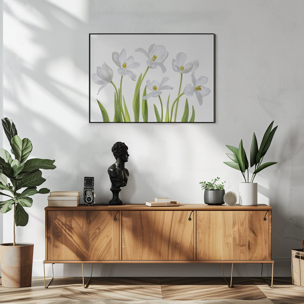 White Tulips | Poster