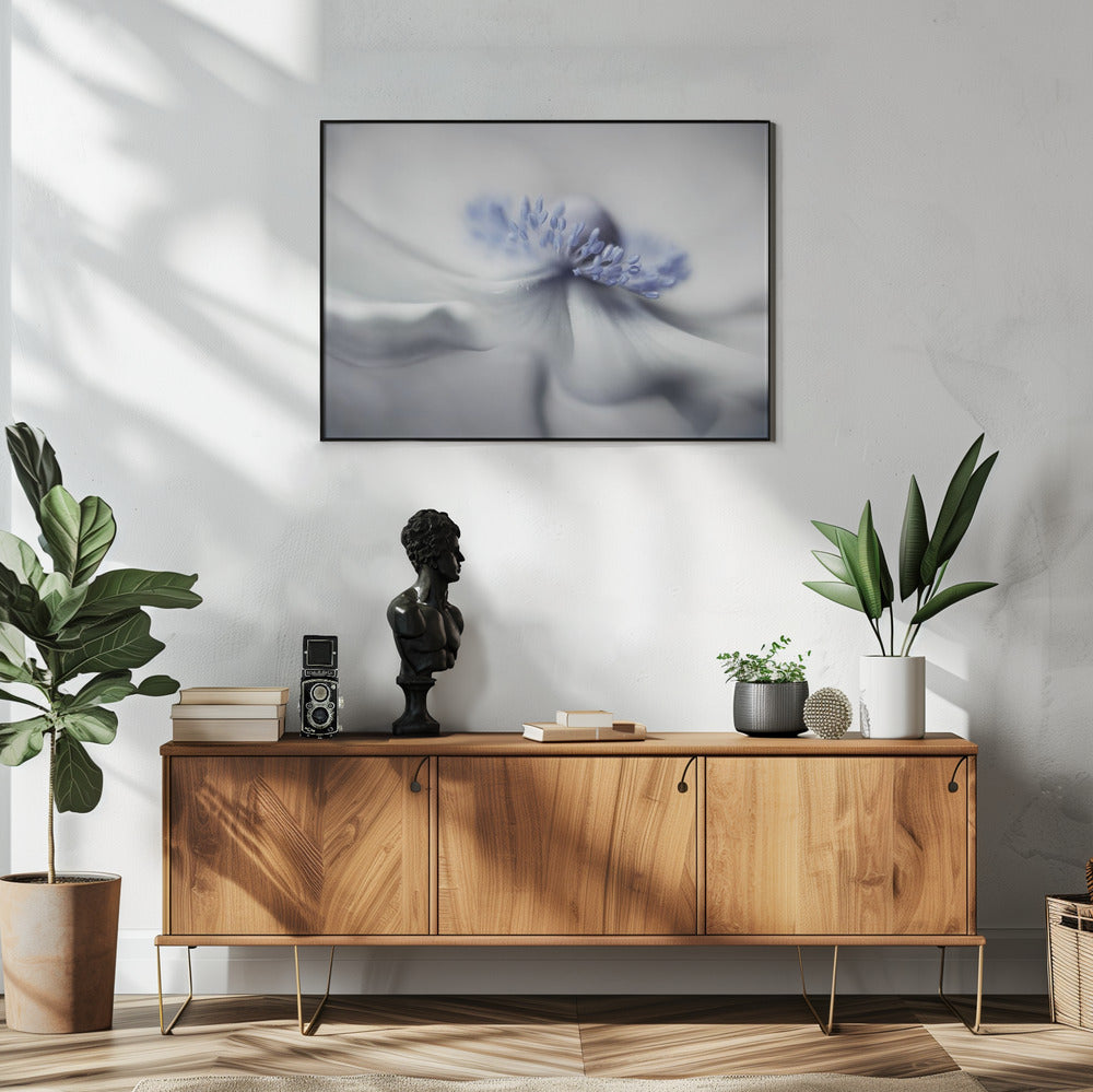 Anemone spirit | Poster