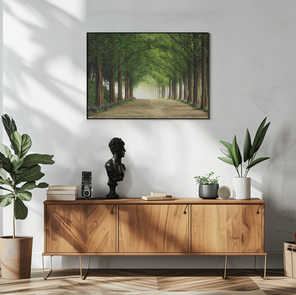 Metasequoia Road | Poster