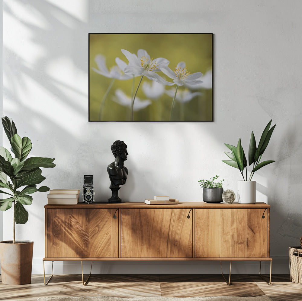 Wood Anemones | Poster