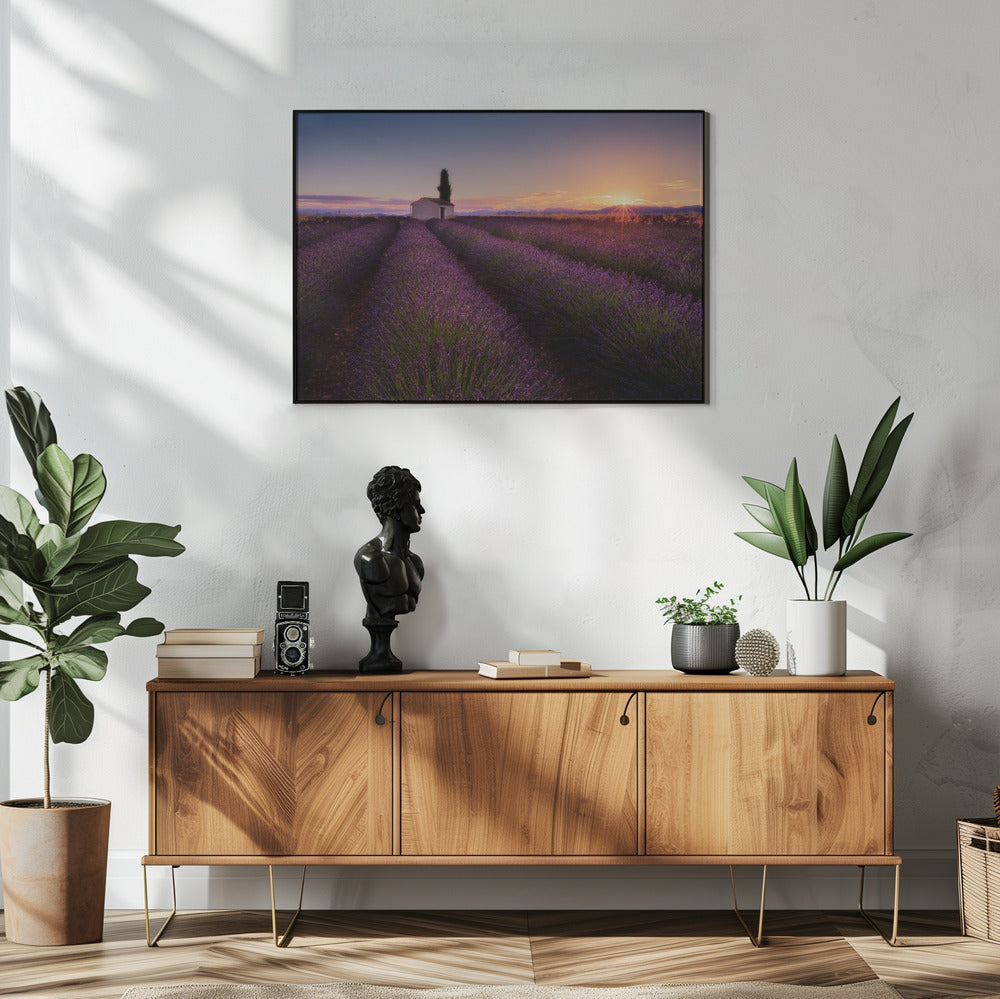 Provence Lavender | Poster