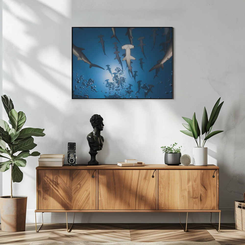 Hammerhead Shark | Poster