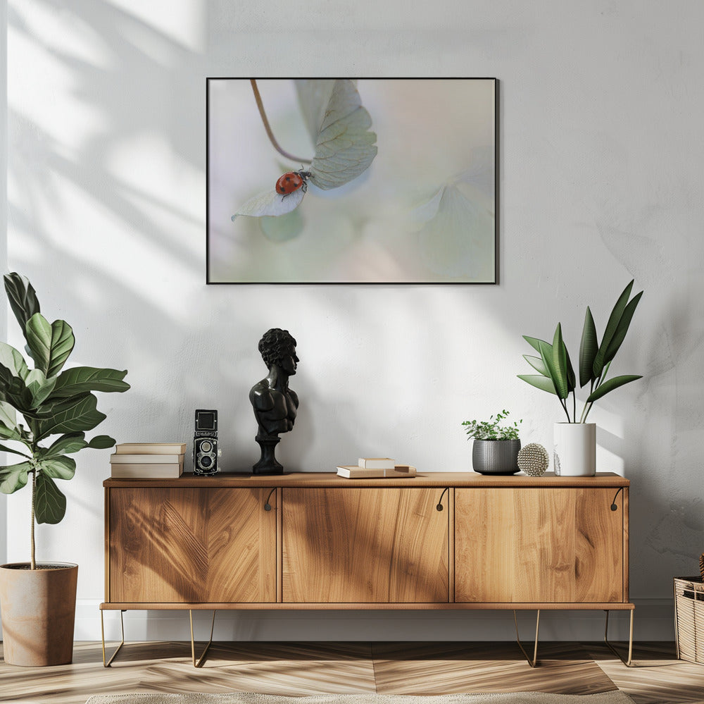 Ladybird on blue-green hydrangea | Poster