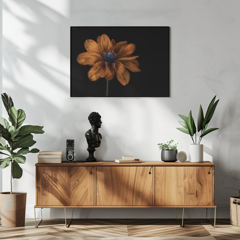 Rudbeckia | Poster