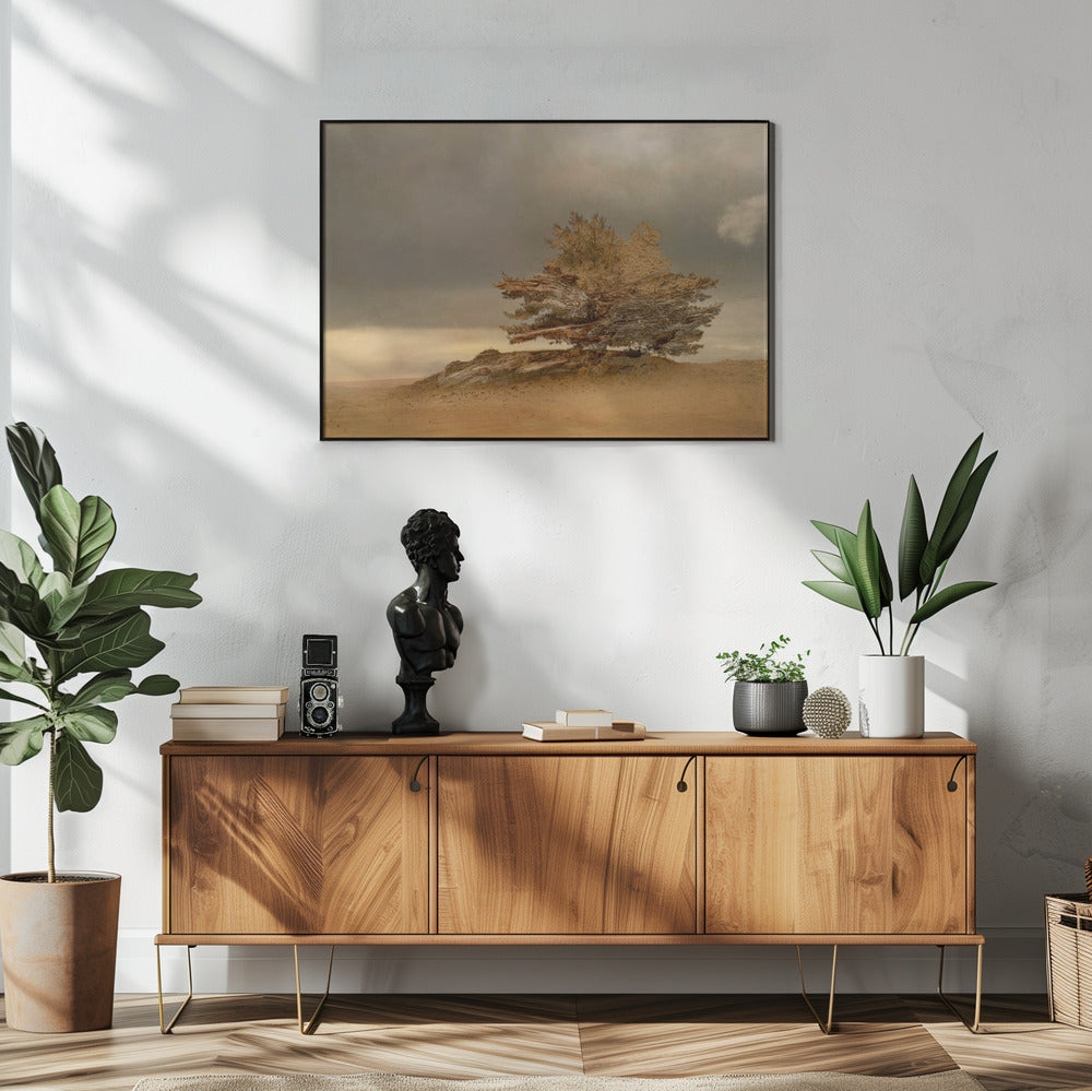 Pine and dunes | Poster