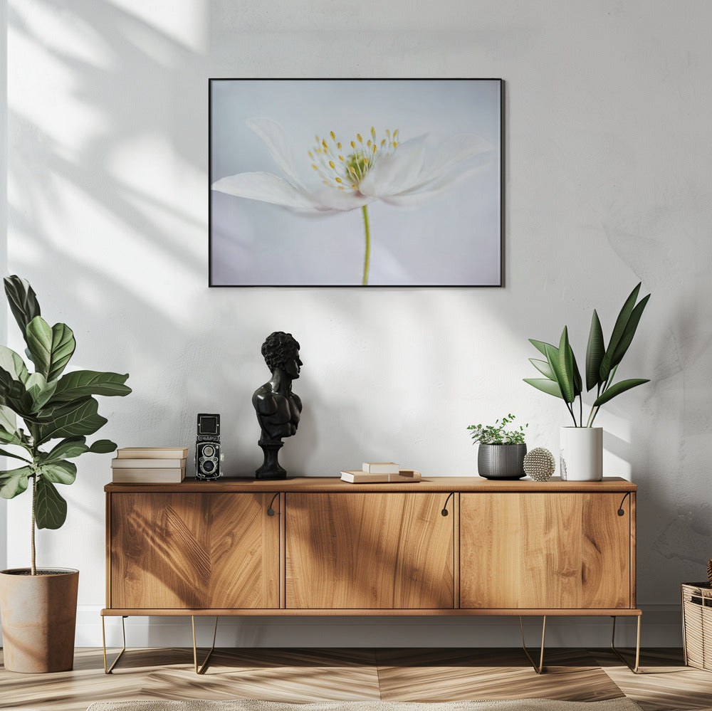 nemorosa | Poster