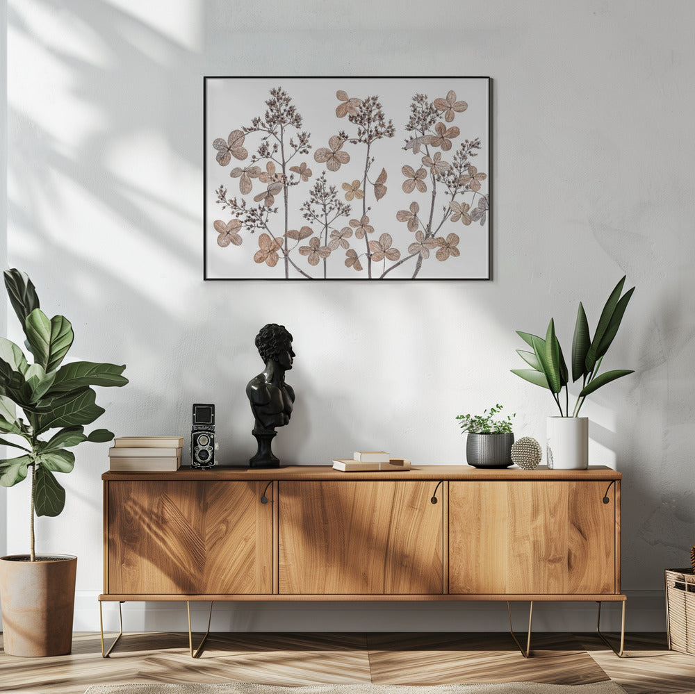 Hydrangea paniculata | Poster