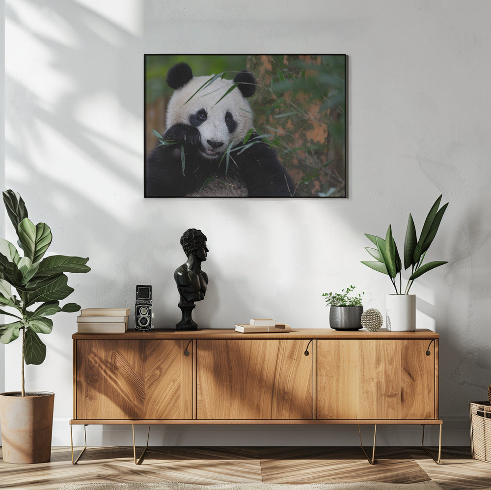 Bamboo Time | Poster