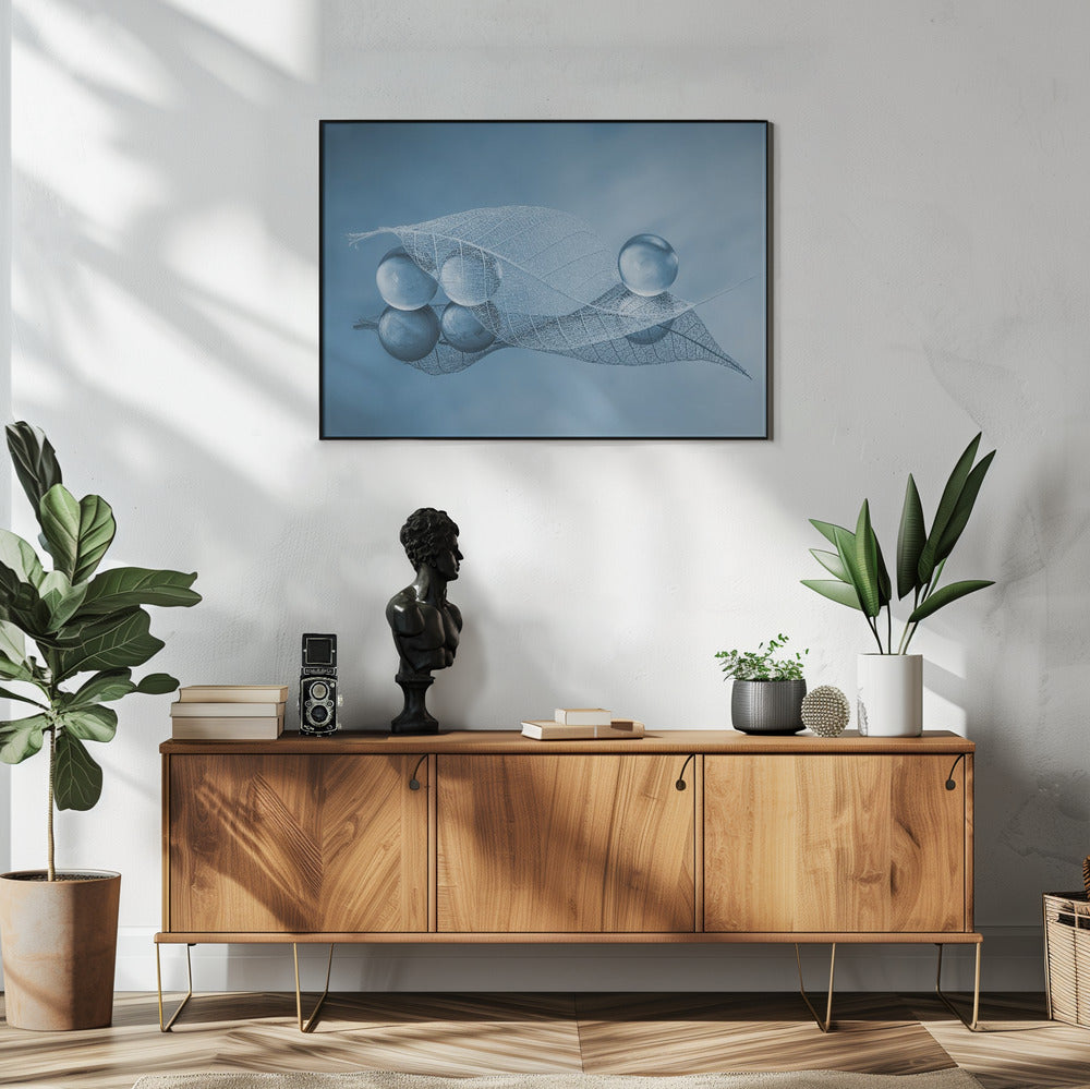 Dry leaf and Bubbles | Poster