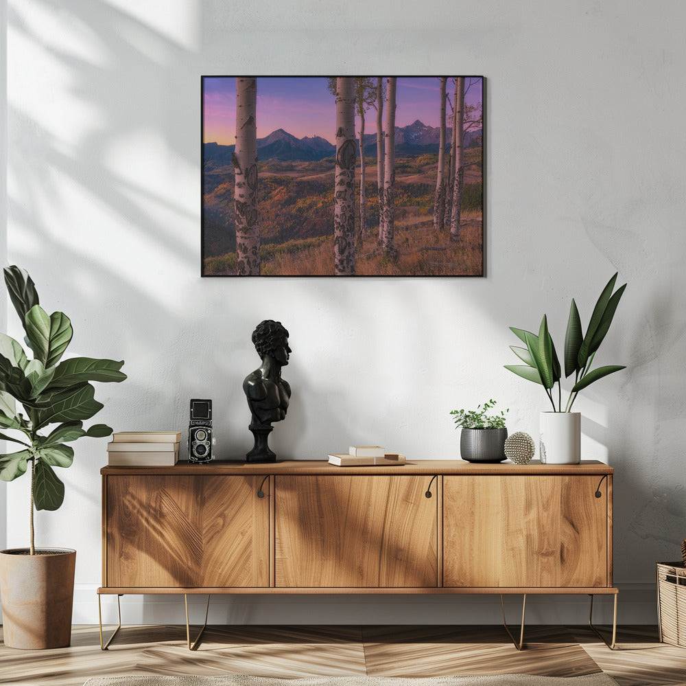 Aspen Frames | Poster