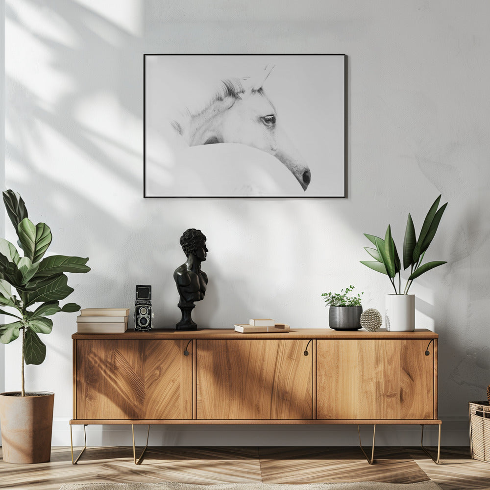 horse and minimalism | Poster