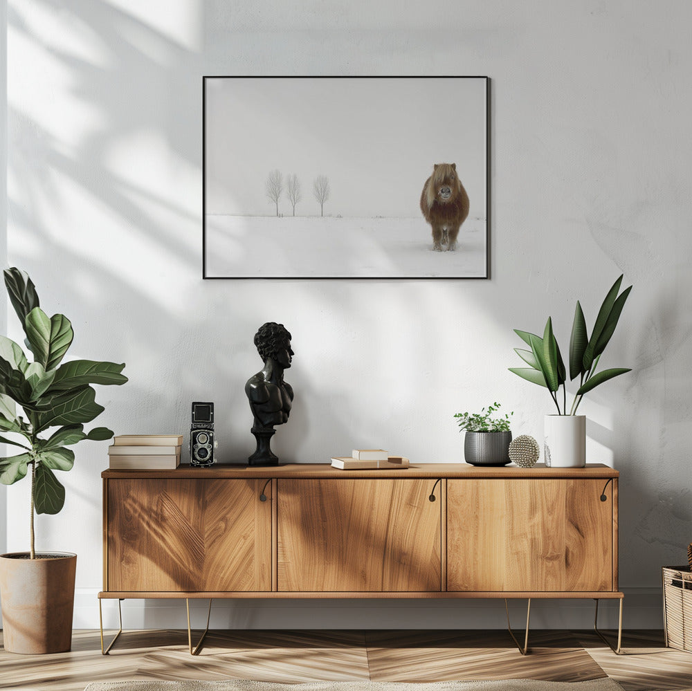 The cold pony | Poster