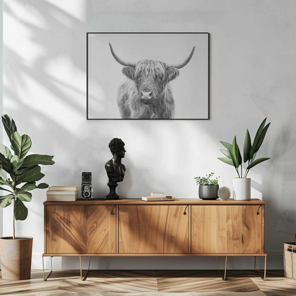 Highland Bull | Poster