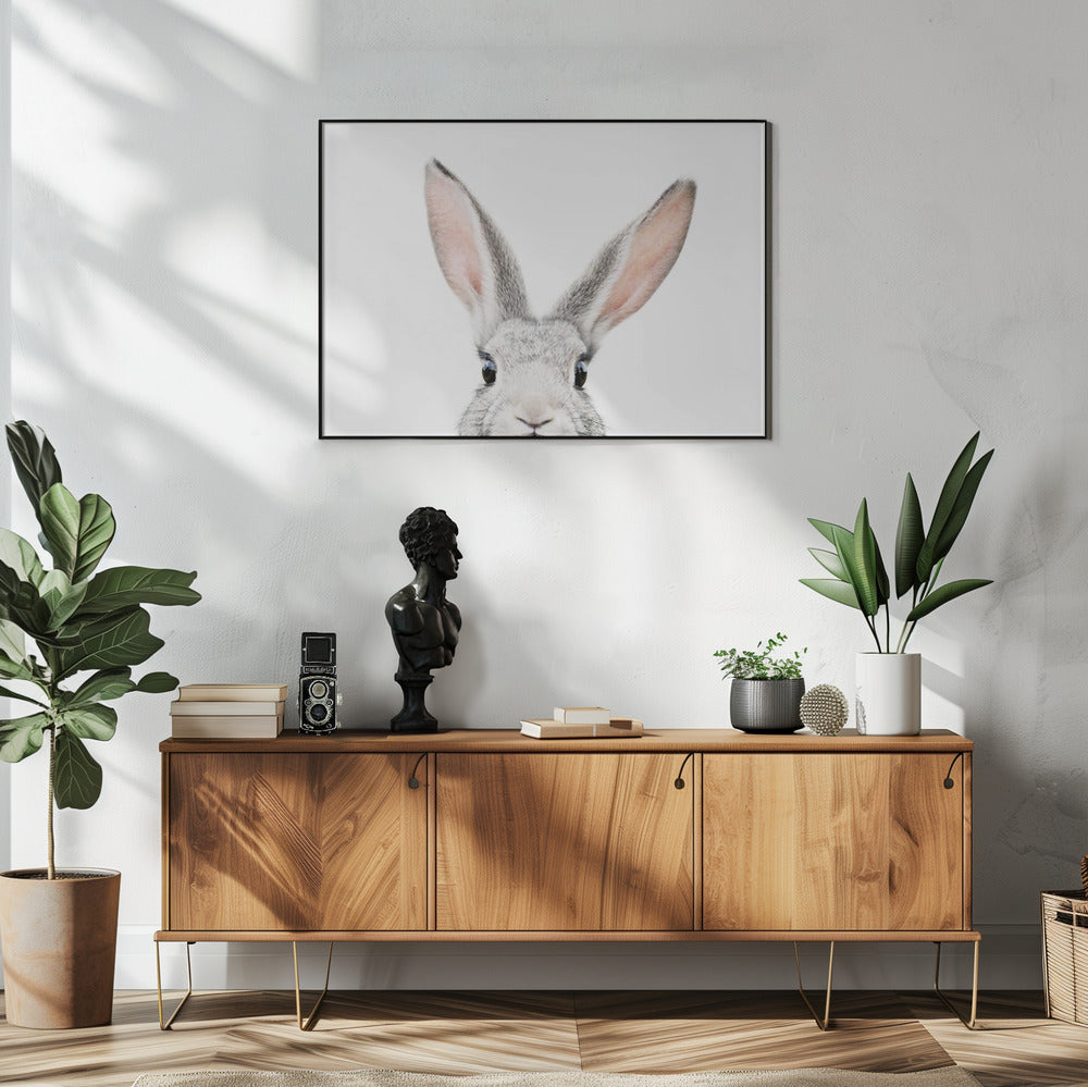 Peeking Bunny | Poster