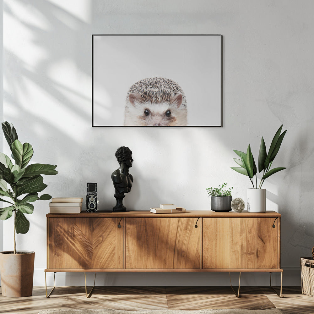 Peeking Hedgehog | Poster