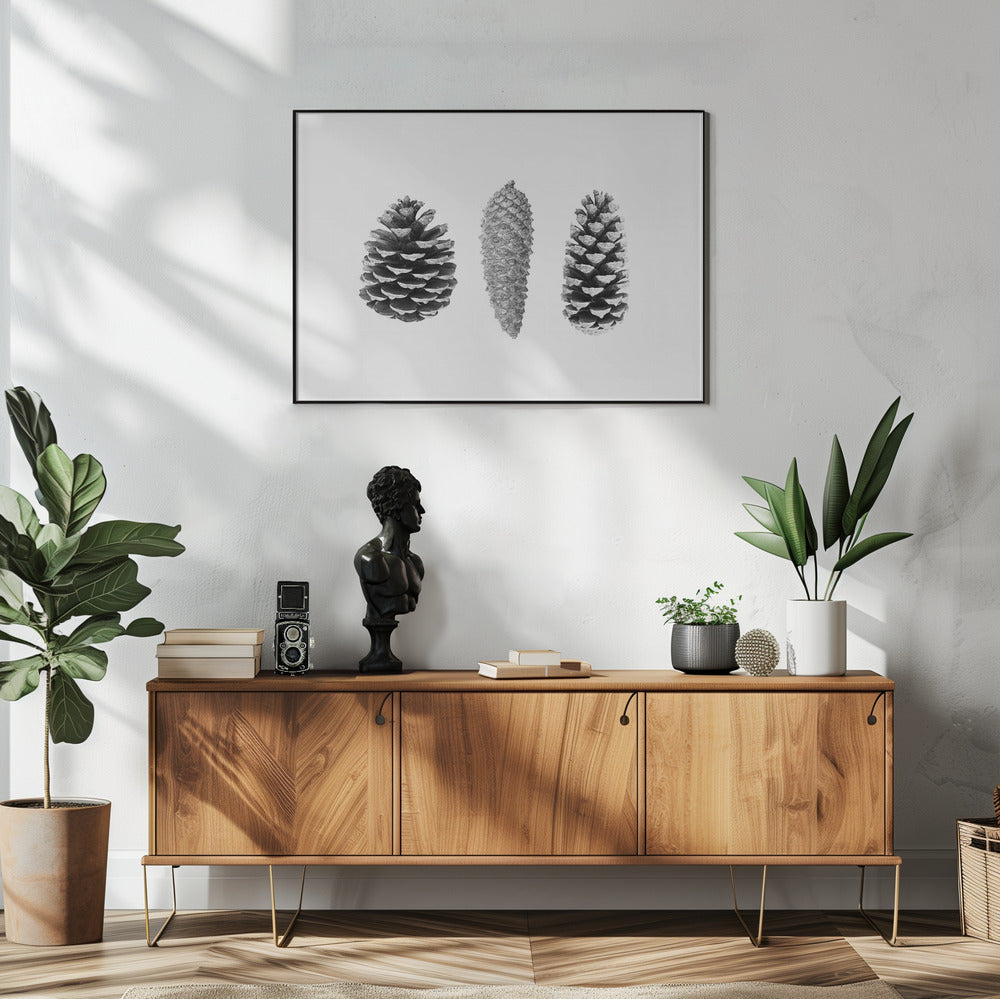 Pine Cone Study | Poster