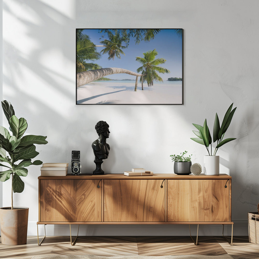 Tropical Palm | Poster