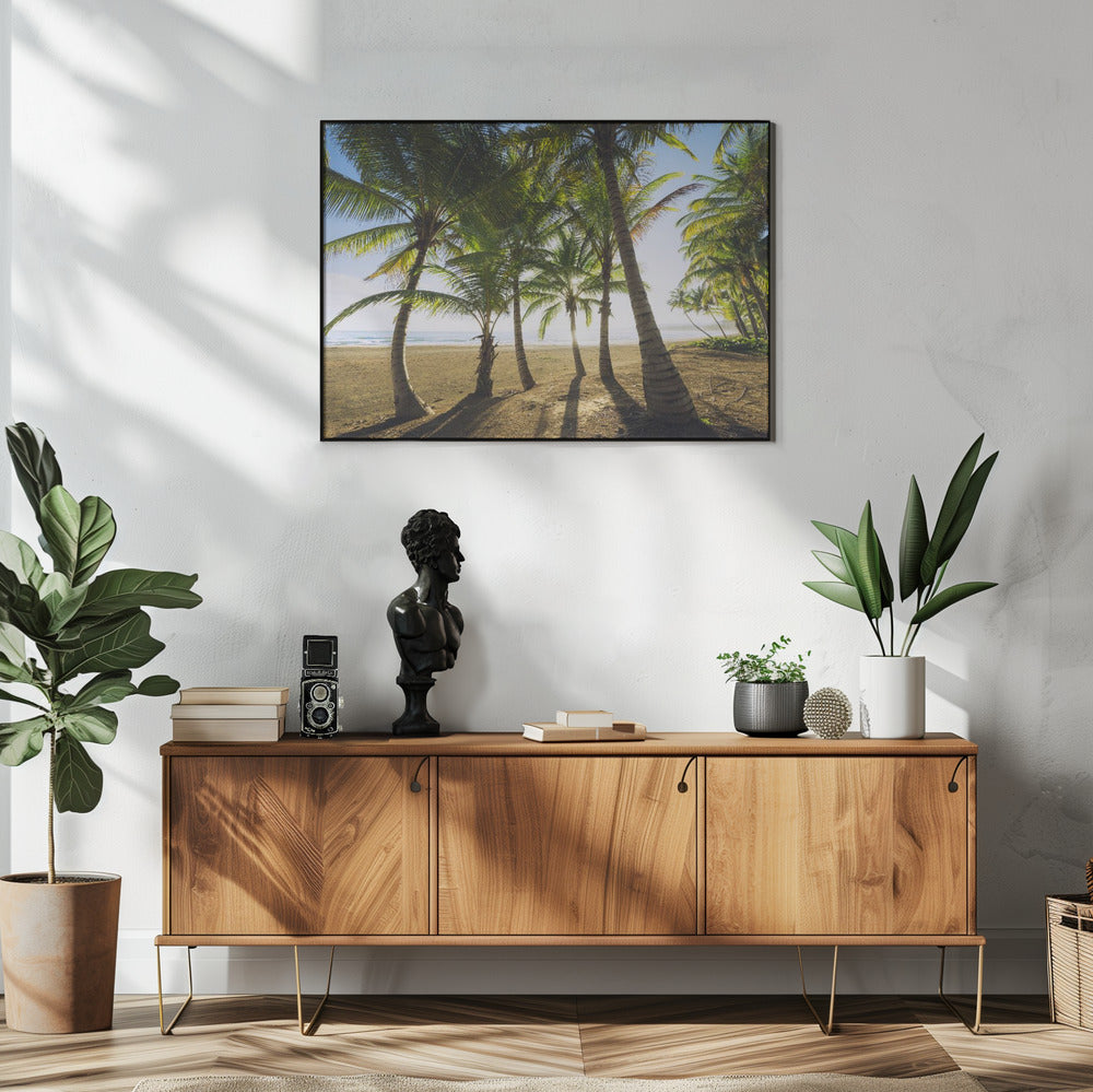 Tropical Morning | Poster