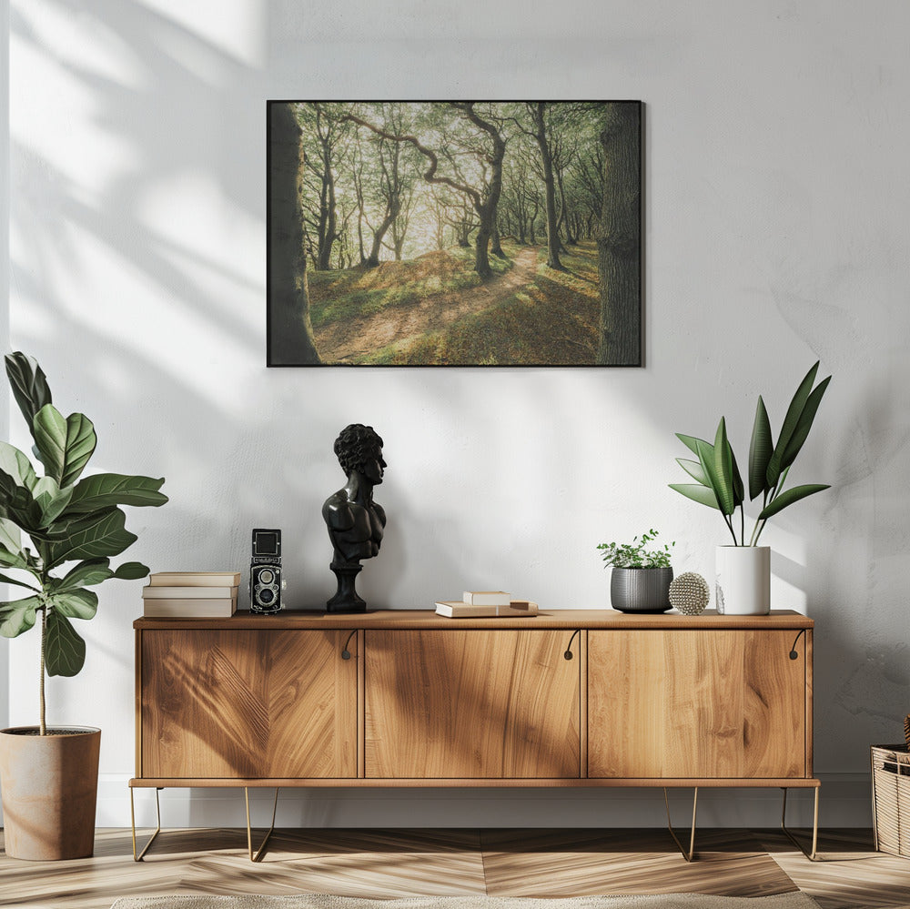 Magic Beech Wood | Poster