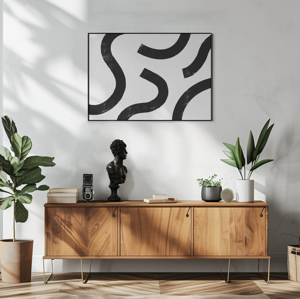 Monochrome Curves | Poster