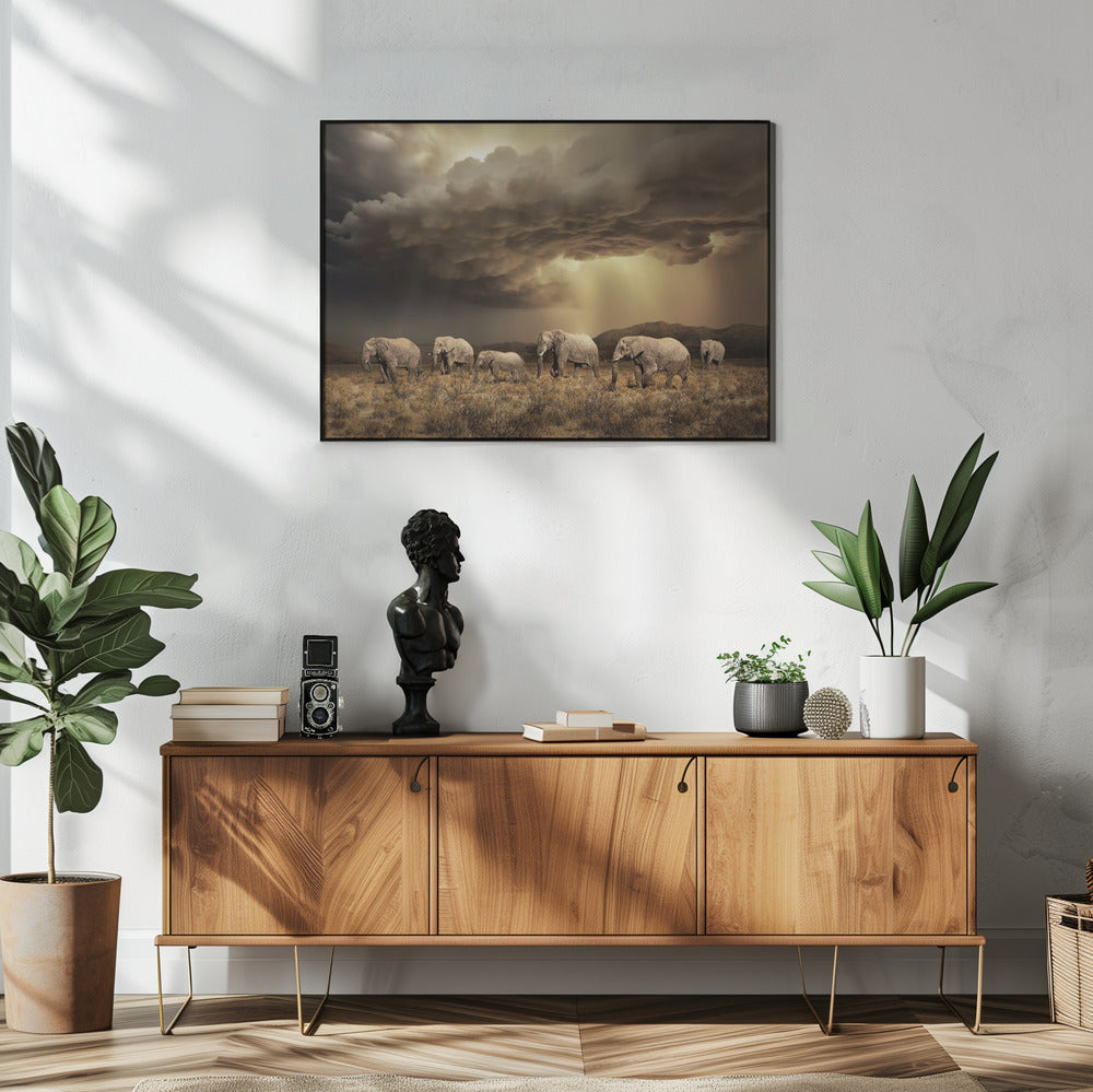 FreeElephants | Poster