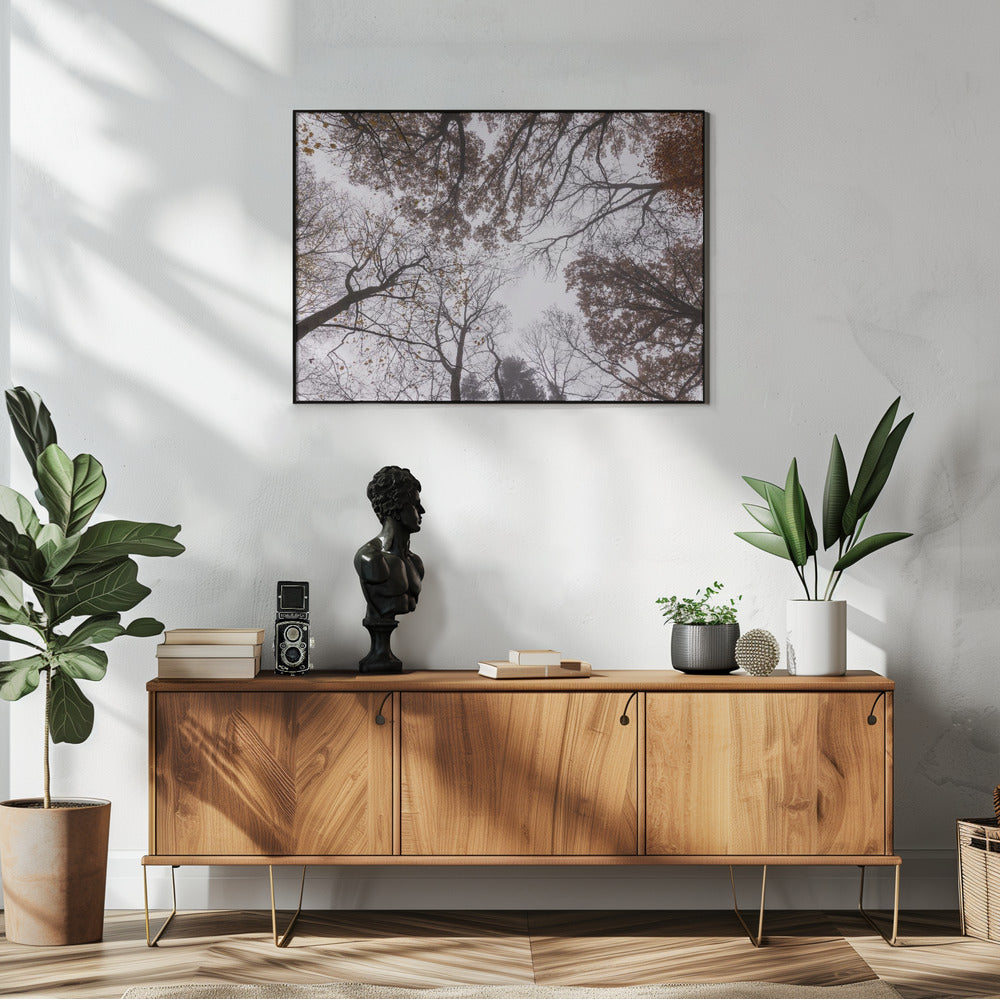 Looking Up 2 | Poster