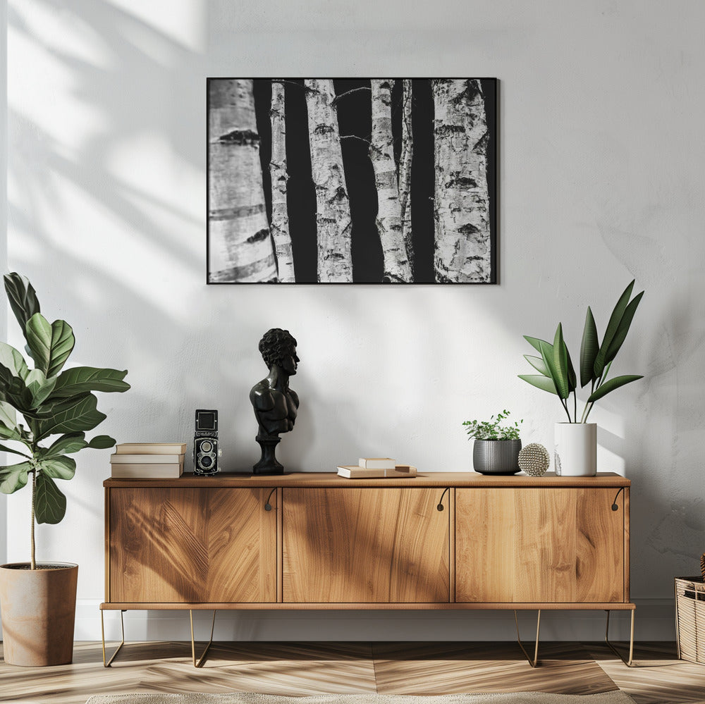 Birch Trees | Poster