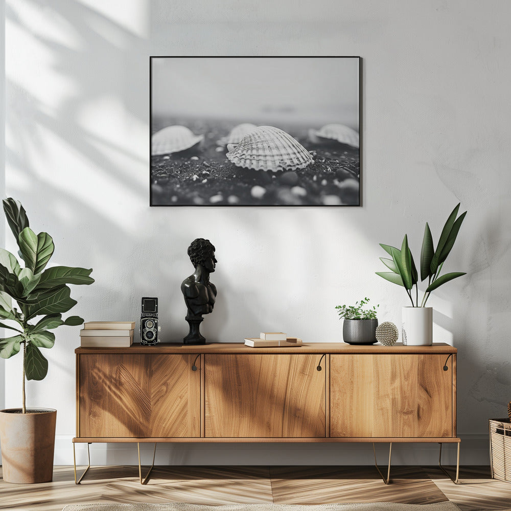 Seashell Serenity | Poster