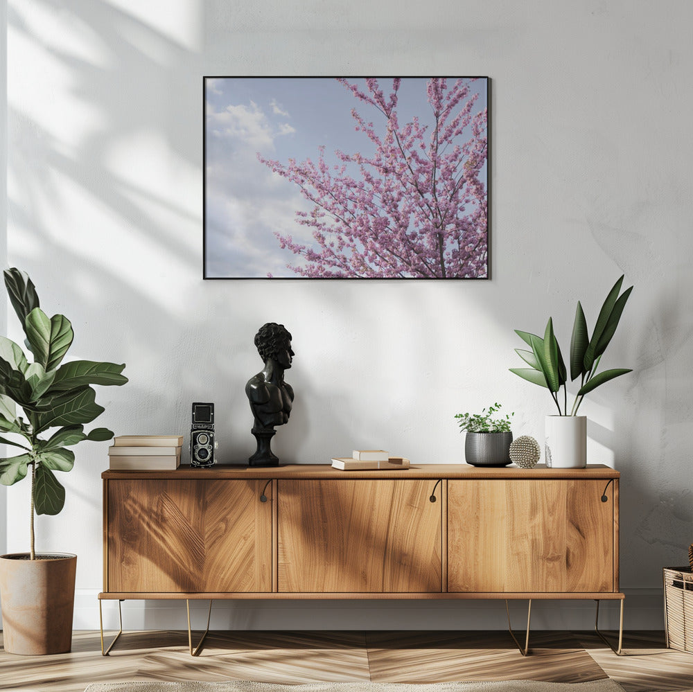 Colorful Spring 12 | Poster