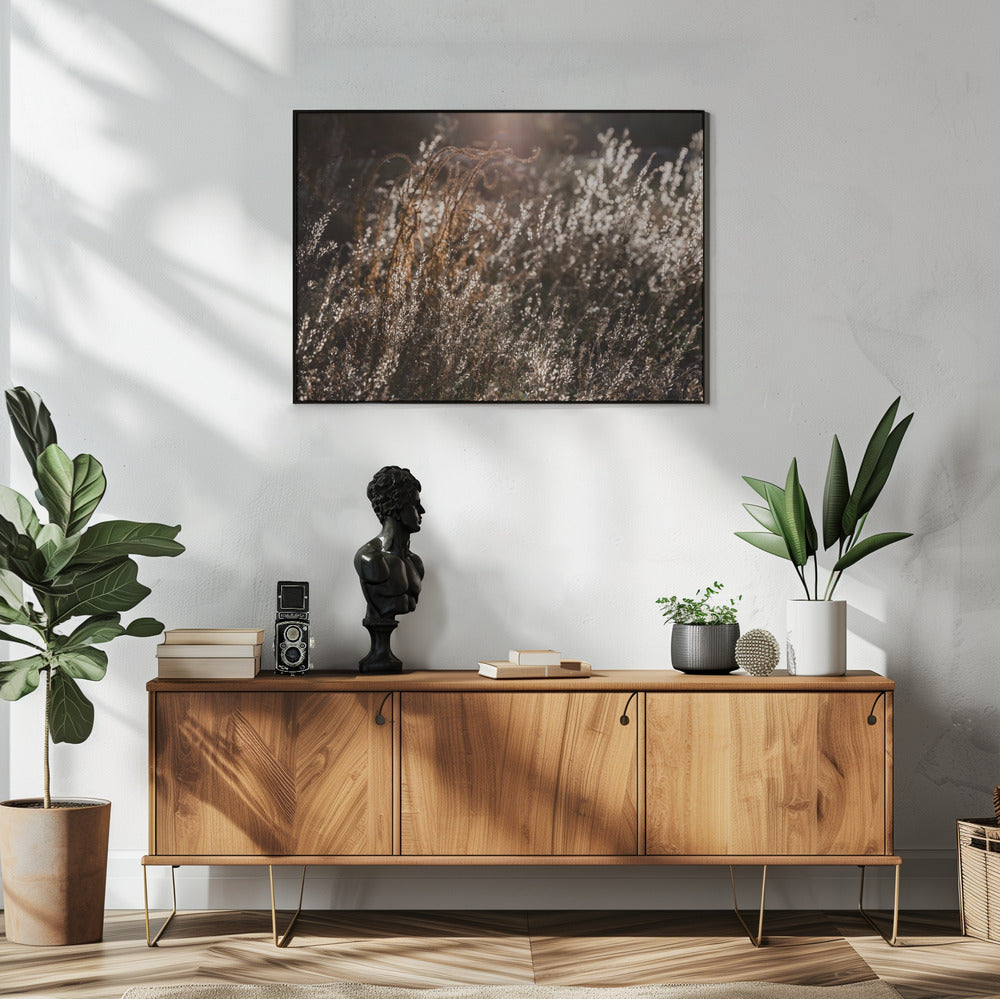 Warm Winter Light 4 | Poster