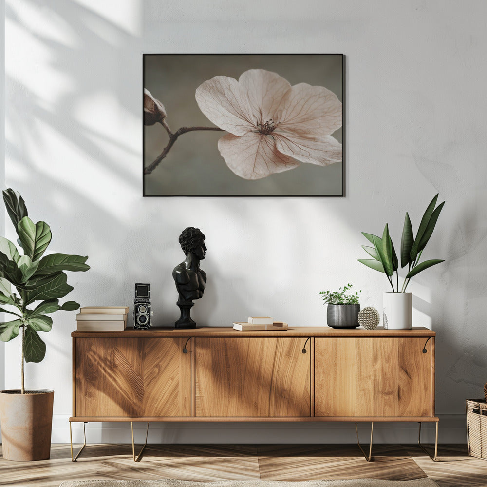 Delicate Bloom | Poster