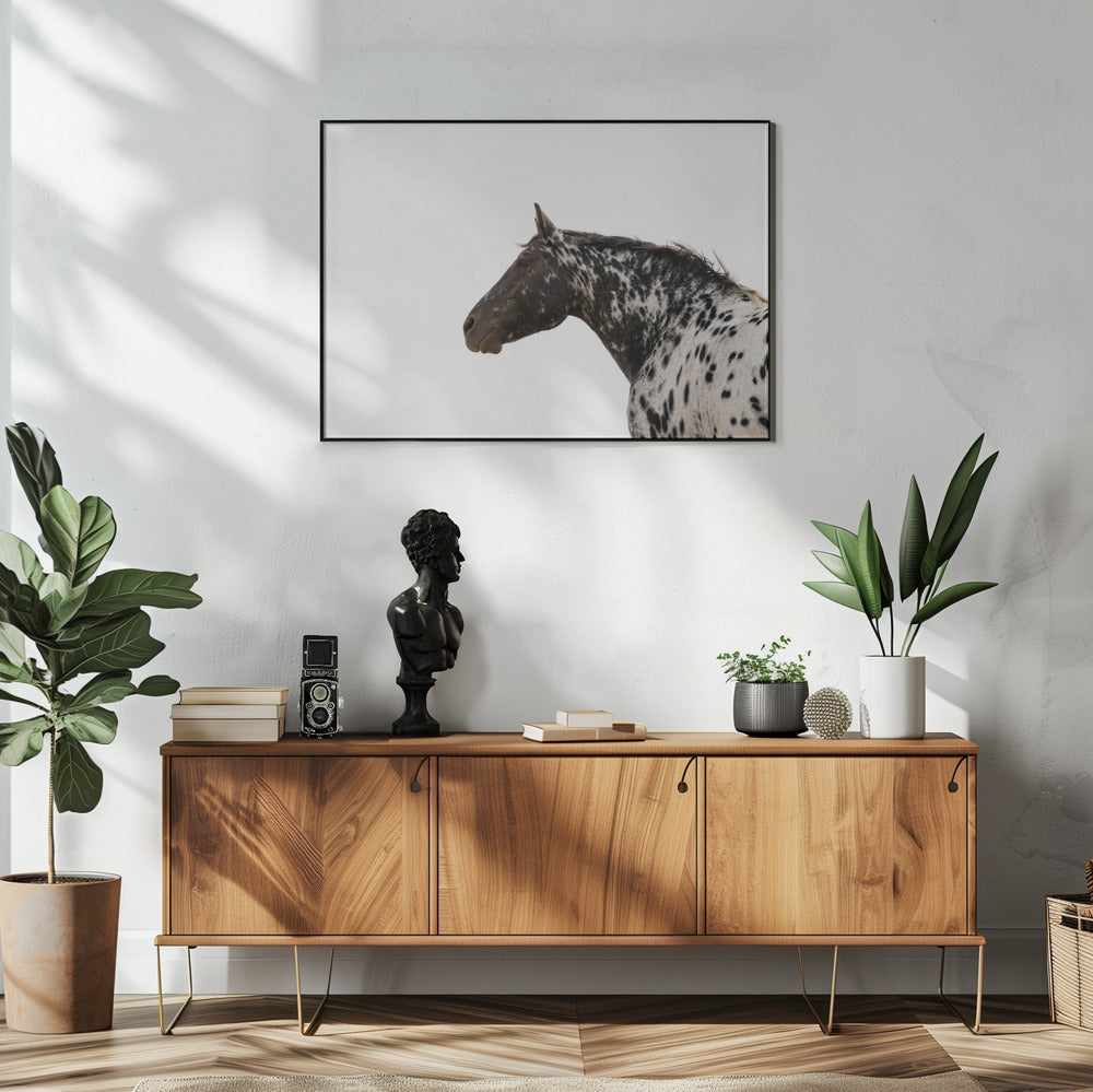 Andromeda 4 | Poster