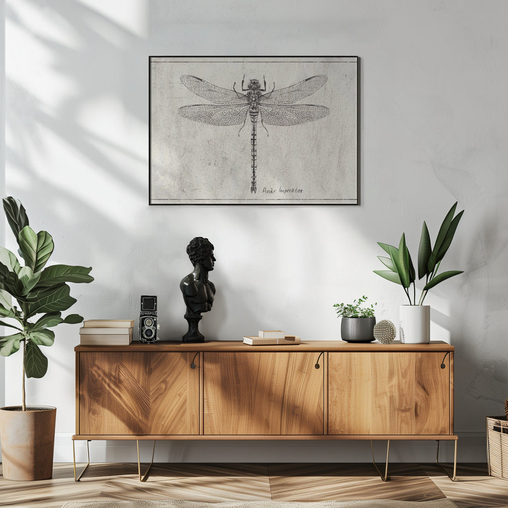 Majesty in Flight Anax Imperator | Poster