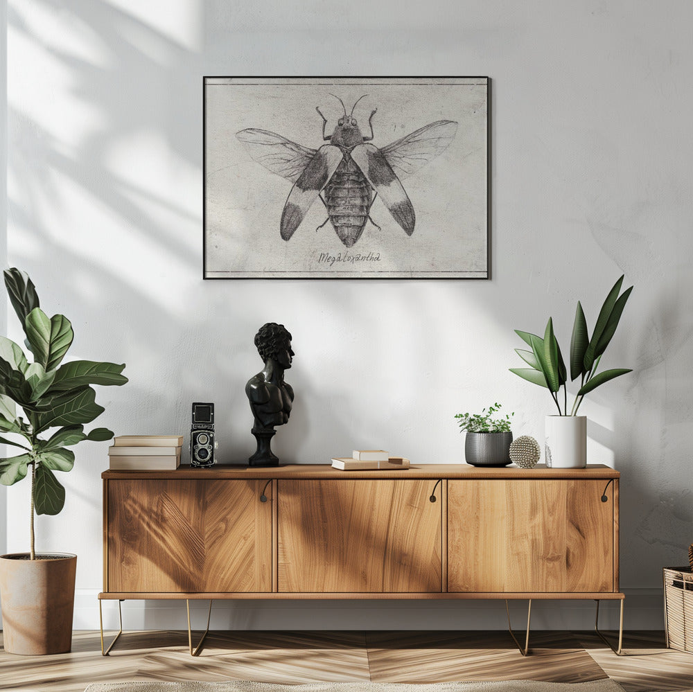 Intricate Insect Sketch | Poster