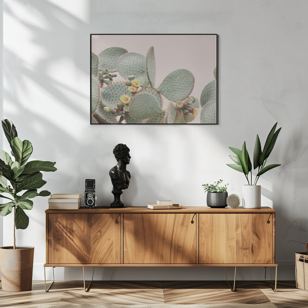 Blooming Cactus | Poster