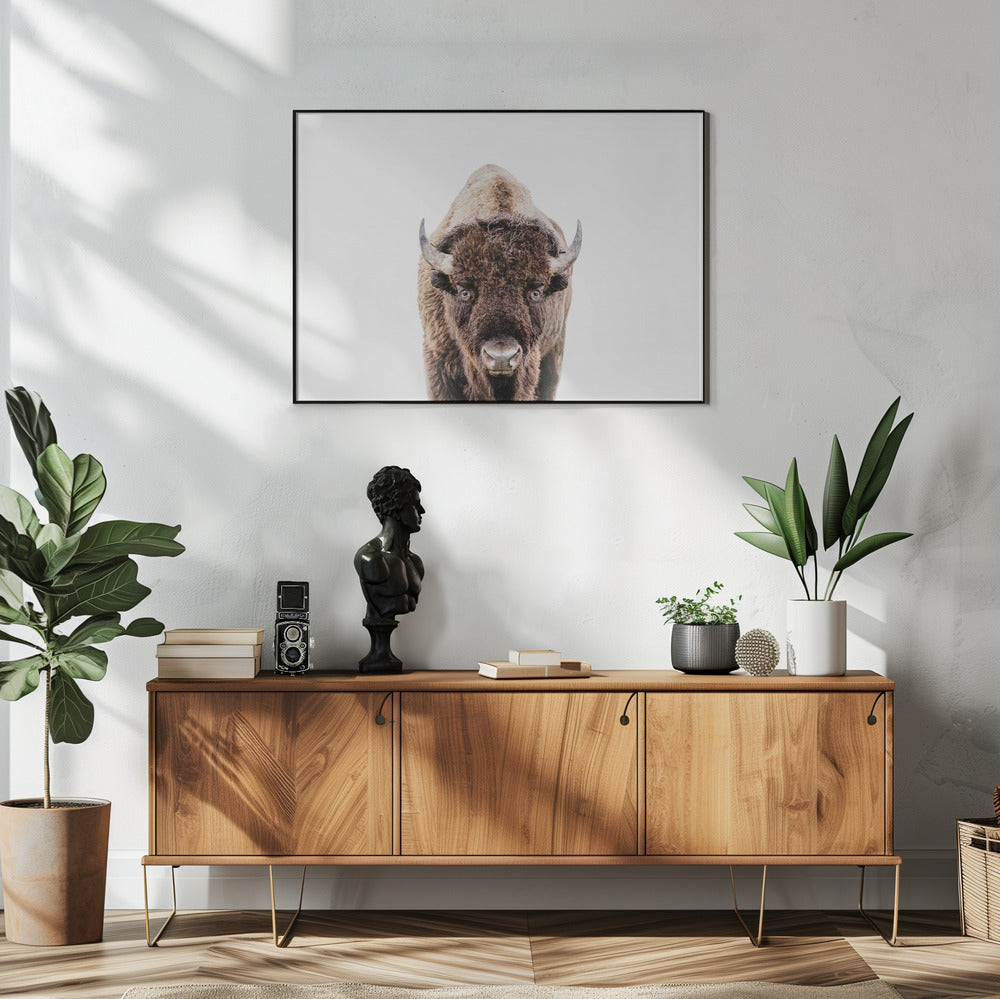 Bison | Poster