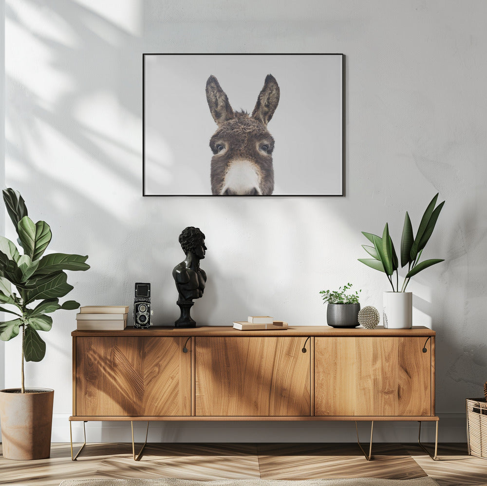 Peeking Donkey | Poster