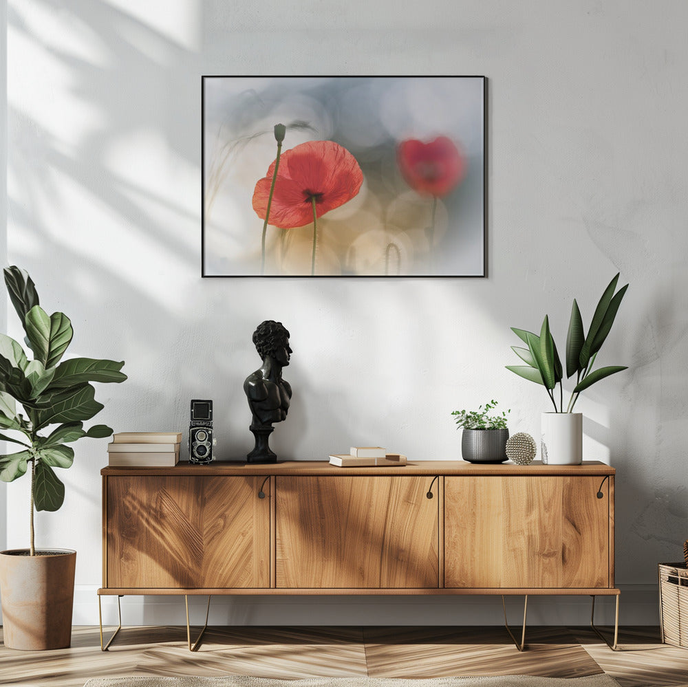 Morning Poppies | Poster