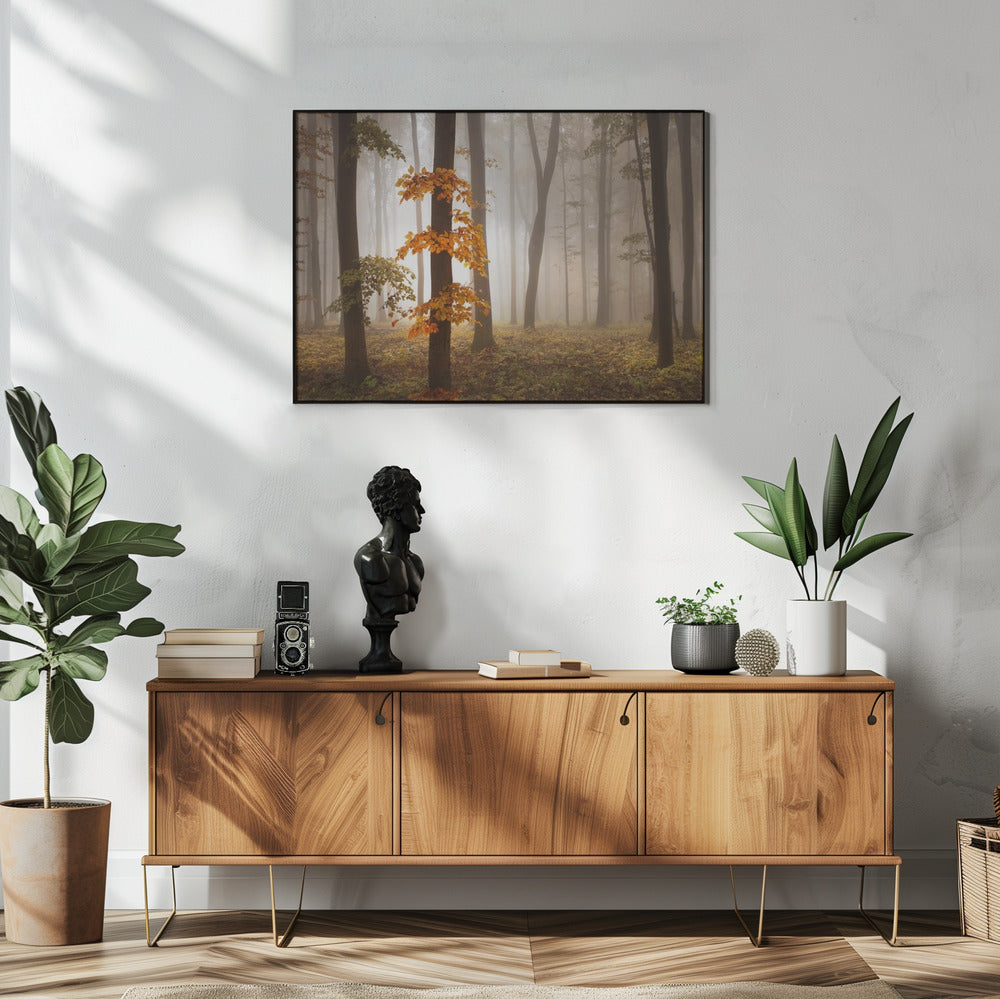 In November Light | Poster