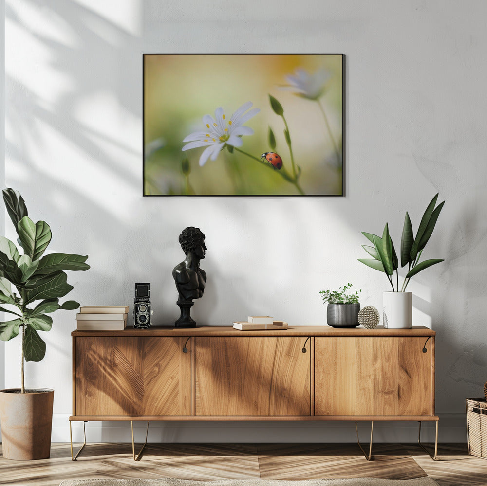 Summer beauties | Poster