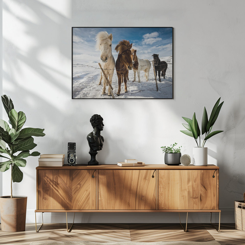 Icelandic Hair Style | Poster