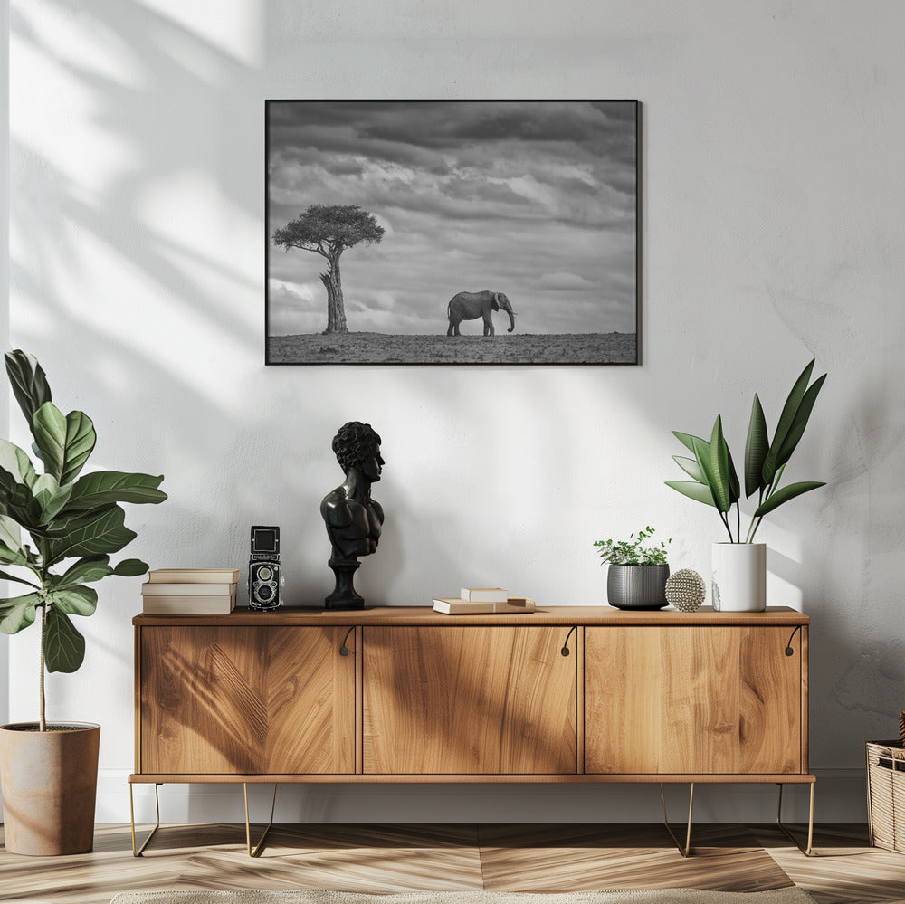 Elephant Landscape | Poster