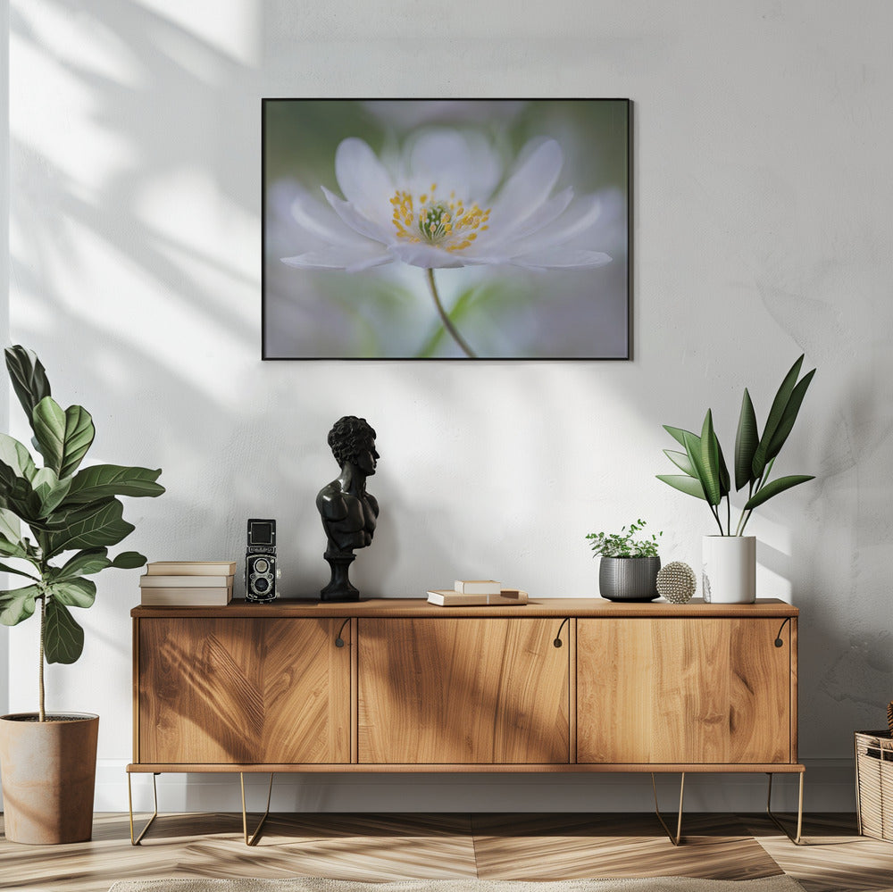 Nemorosa Nirvana | Poster