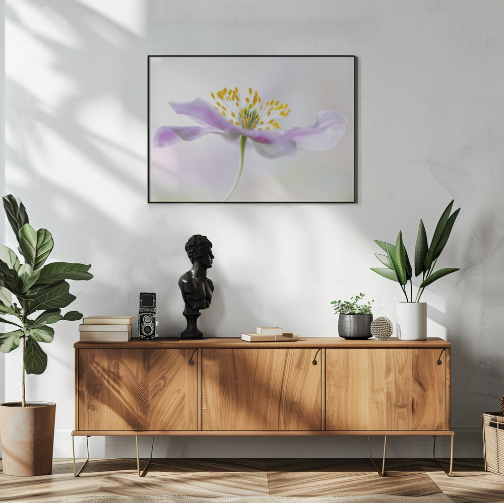 Wood Anemone | Poster