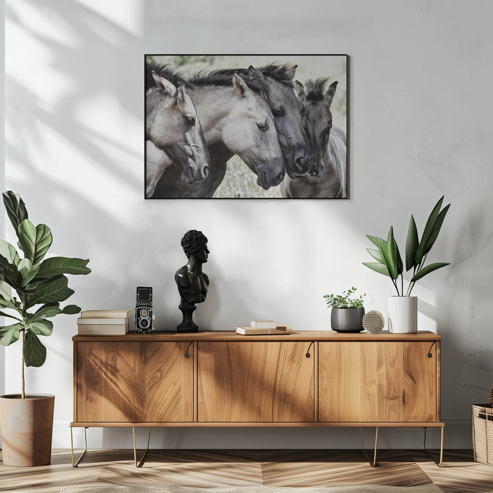 Four Konik Horses | Poster