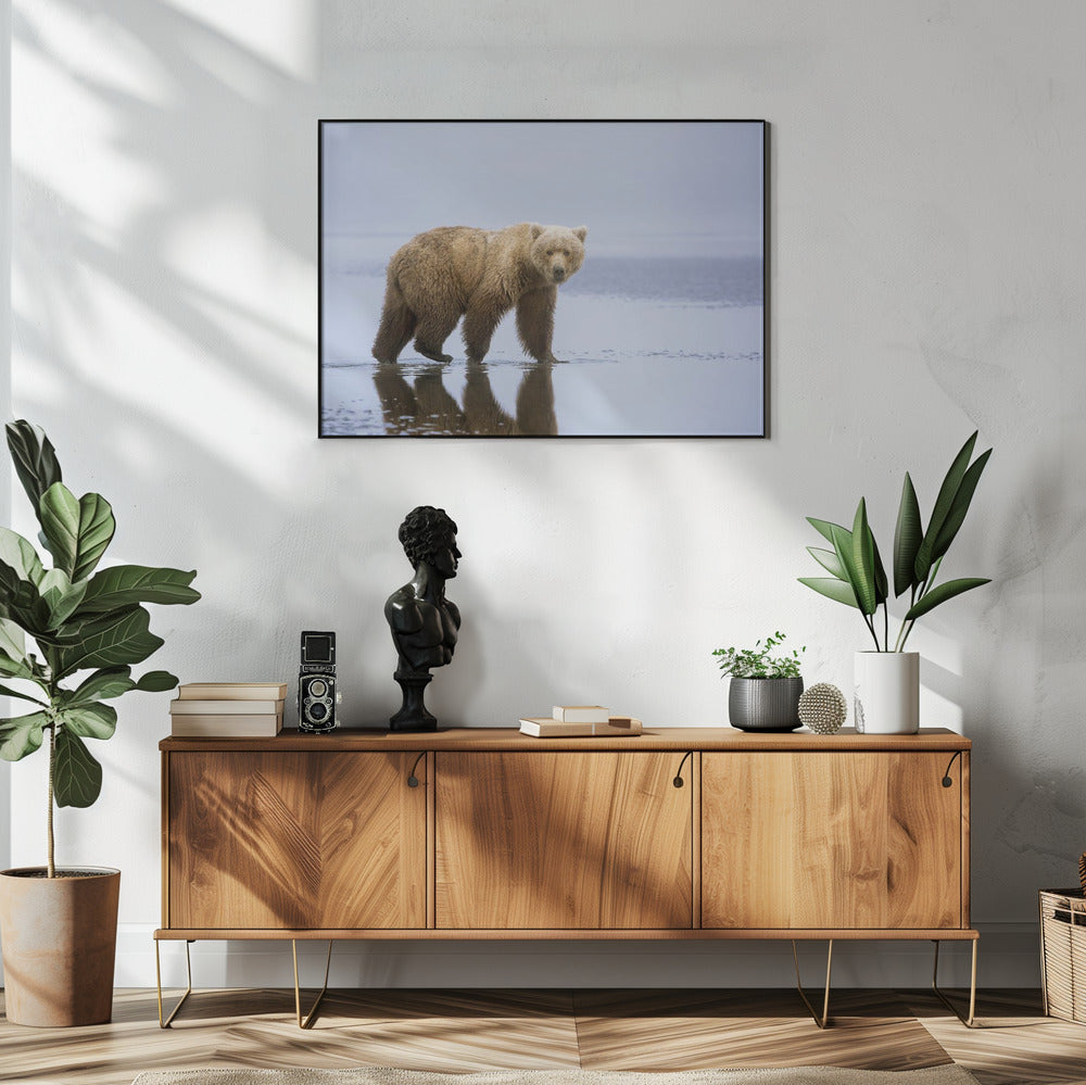 The Bear Walk | Poster